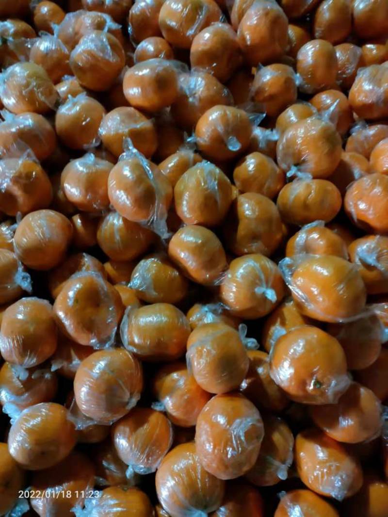 湖北芦柑椪柑大量上市，果型偏圆，皮易剥，大量有货