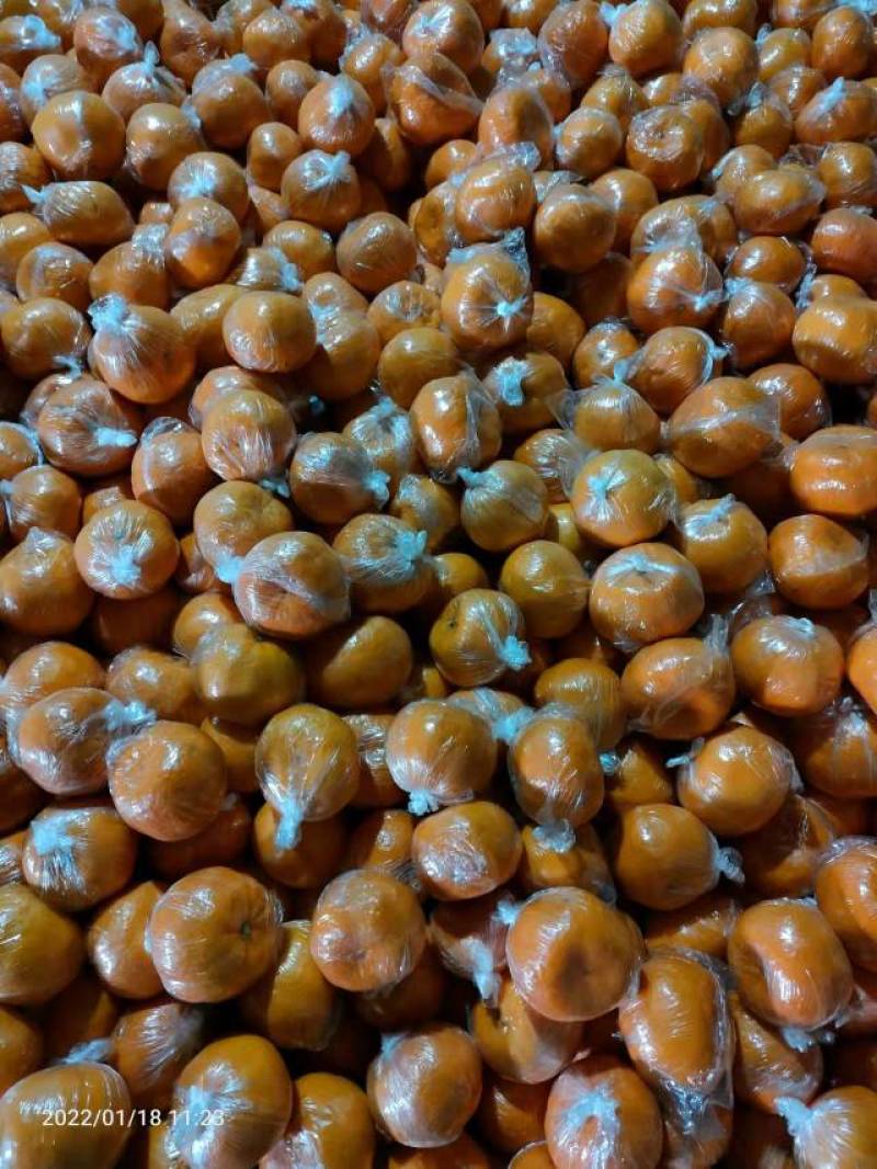 湖北芦柑椪柑大量上市，果型偏圆，皮易剥，大量有货