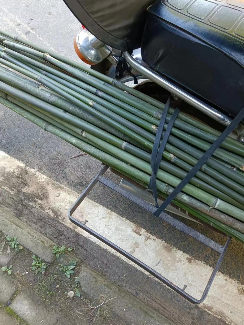 小竹子，货源充足，欢迎老板采购