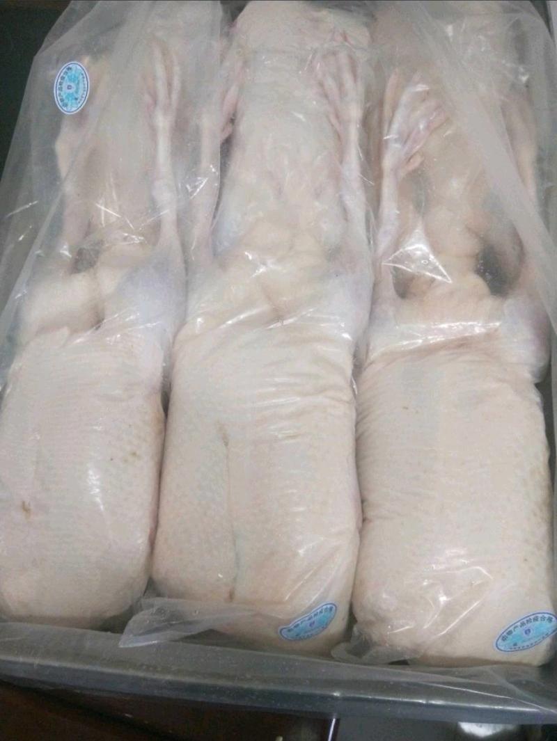 全鸭山东厂家供应全鸭冰鲜雁鹅白条全鸭按需定做单只4-8斤