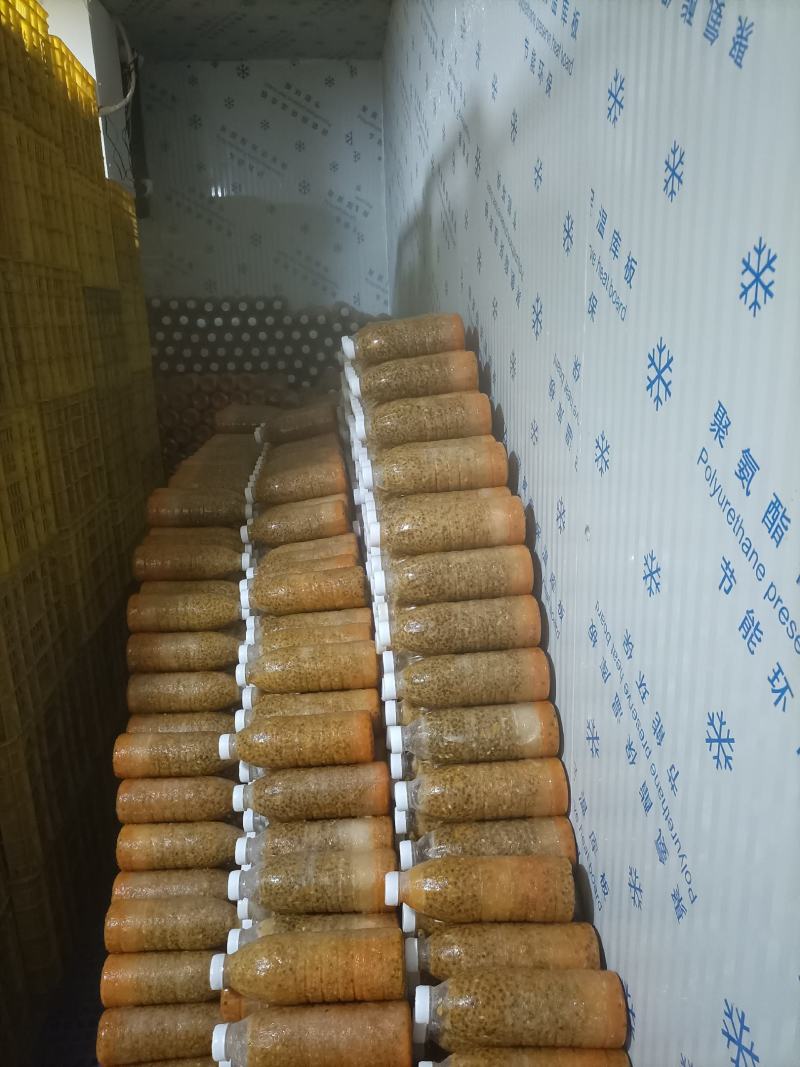 百香果原浆,纯百香果原浆，现挖现买，无任何添加！