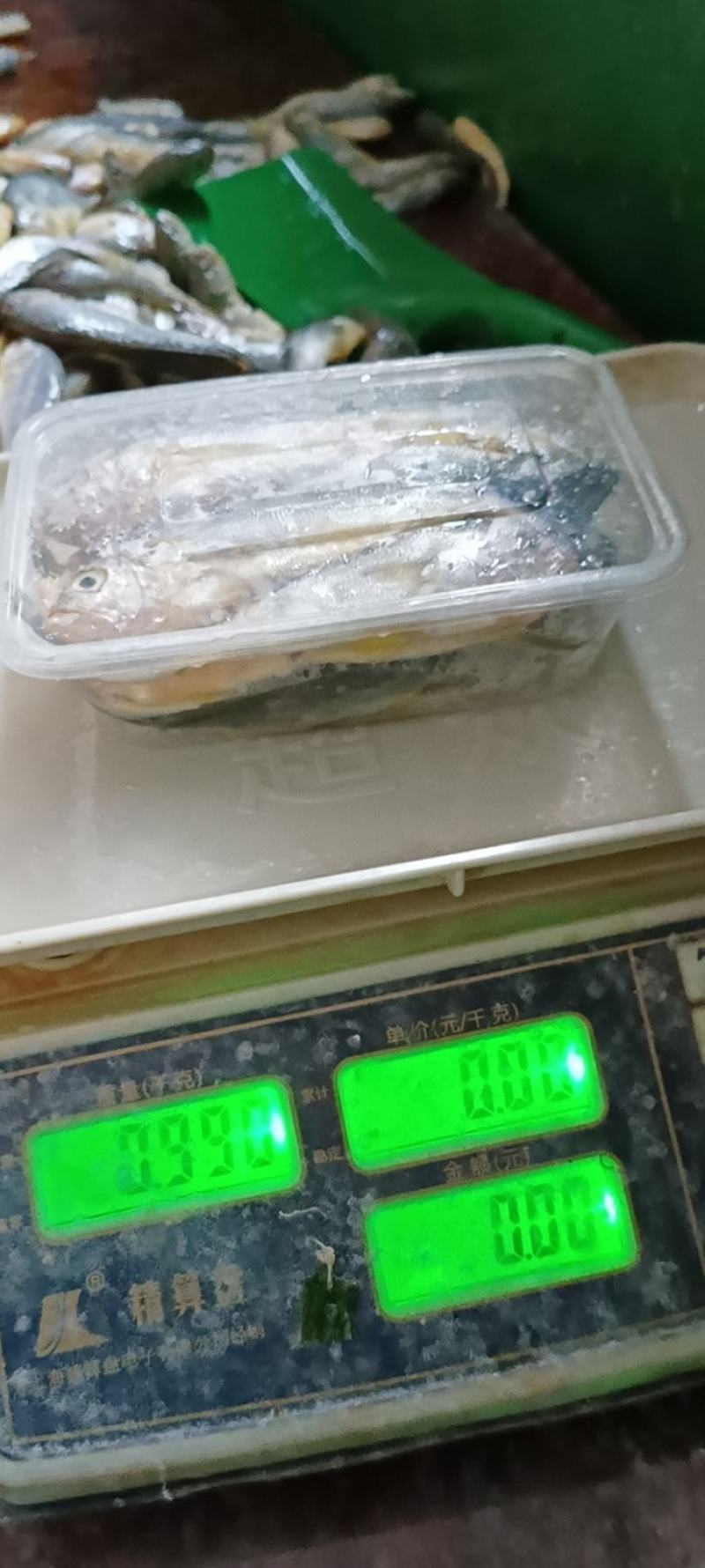 霞浦原产地小黄花鱼，海面直收一手货源。14-16条一斤