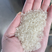 东北珍珠米供饭堂工厂食堂厂家直发价格优惠欢迎询价