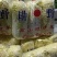 2024年新鲜有机娃娃菜大量上市中，欢迎全国各地客商采购