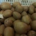 周至县精品翠香猕猴桃，现有自己冷库存货50000斤
