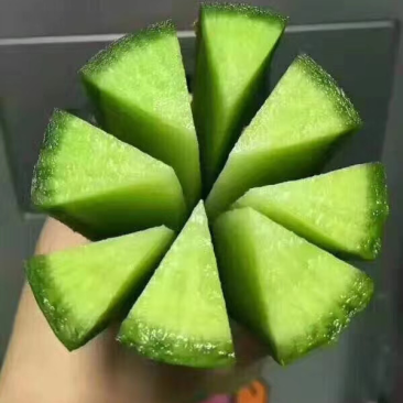 【精品】山东水果萝卜潍县萝卜,现货供应保质保量