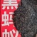 黑蚂蚁，中药材黑蚂蚁，量大从优，一手货源