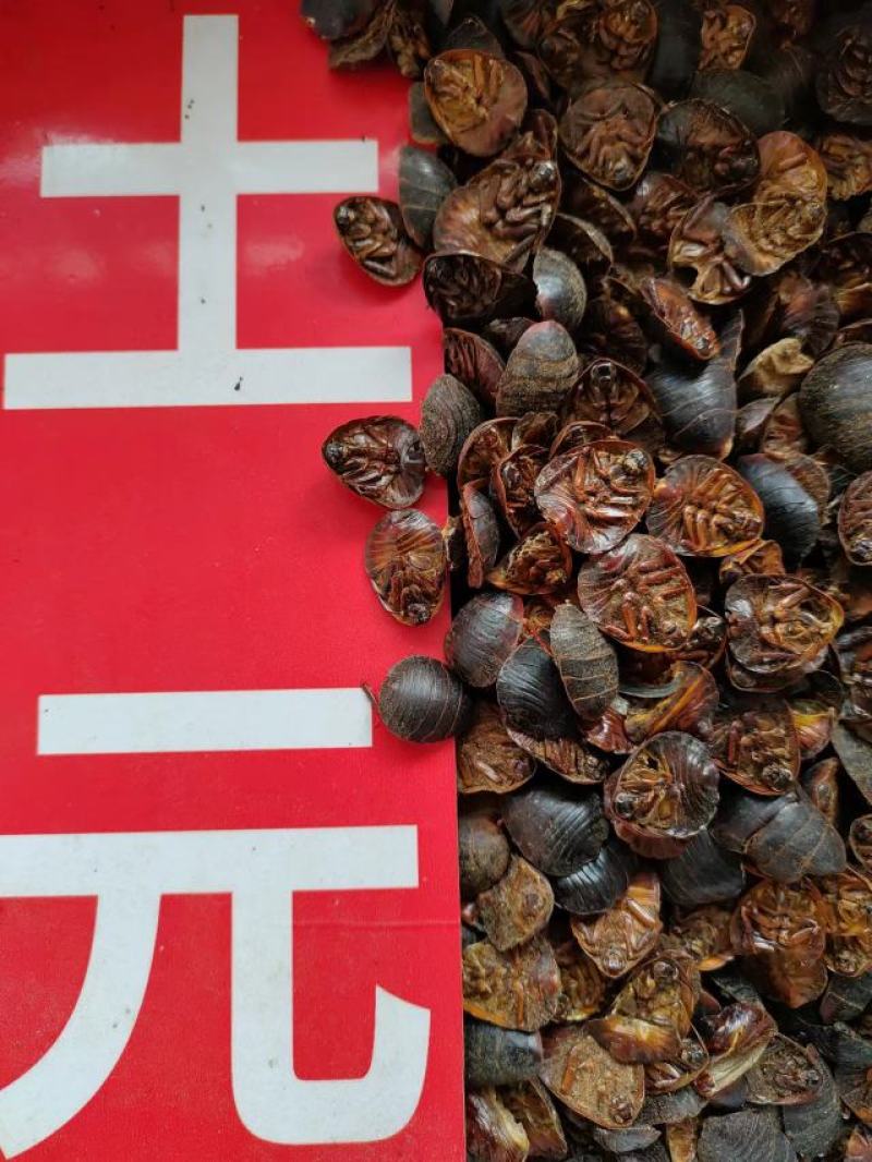土元，中药材土元，量大从优，一手货源，欢迎采购