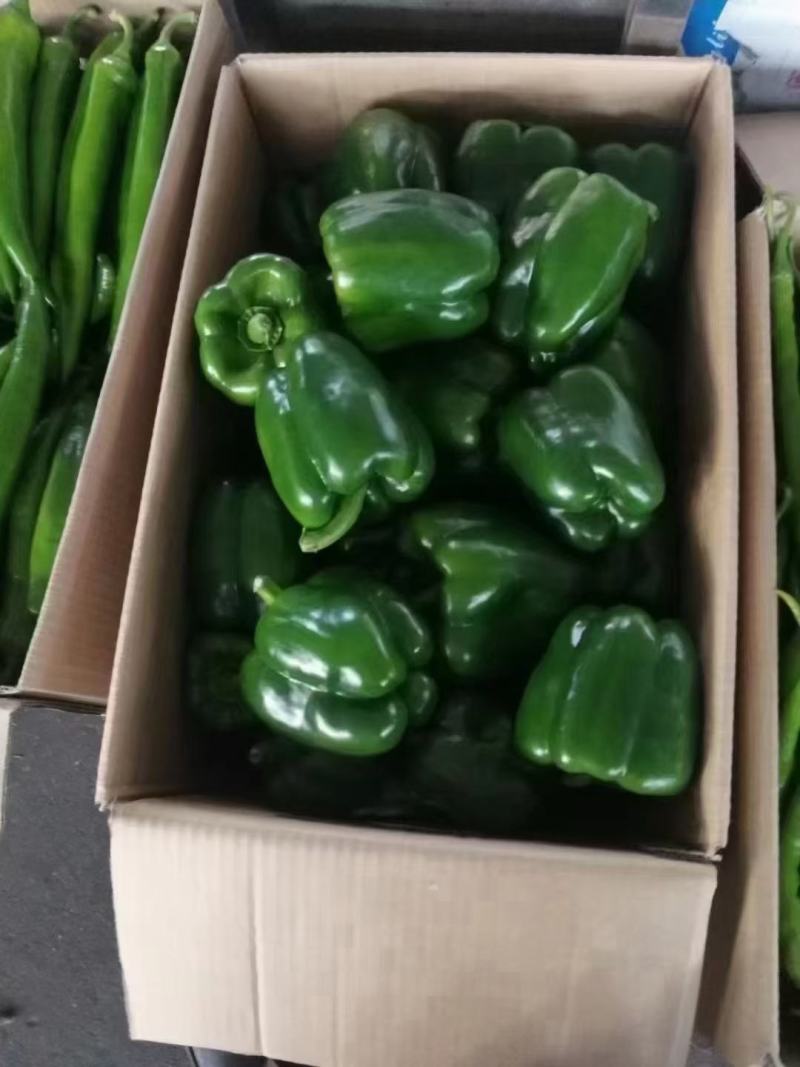 黄皮辣椒