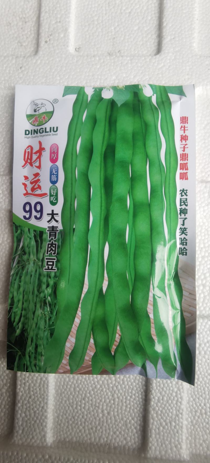 四季豆种子财运99大青肉豆条长肉厚结荚多品质好