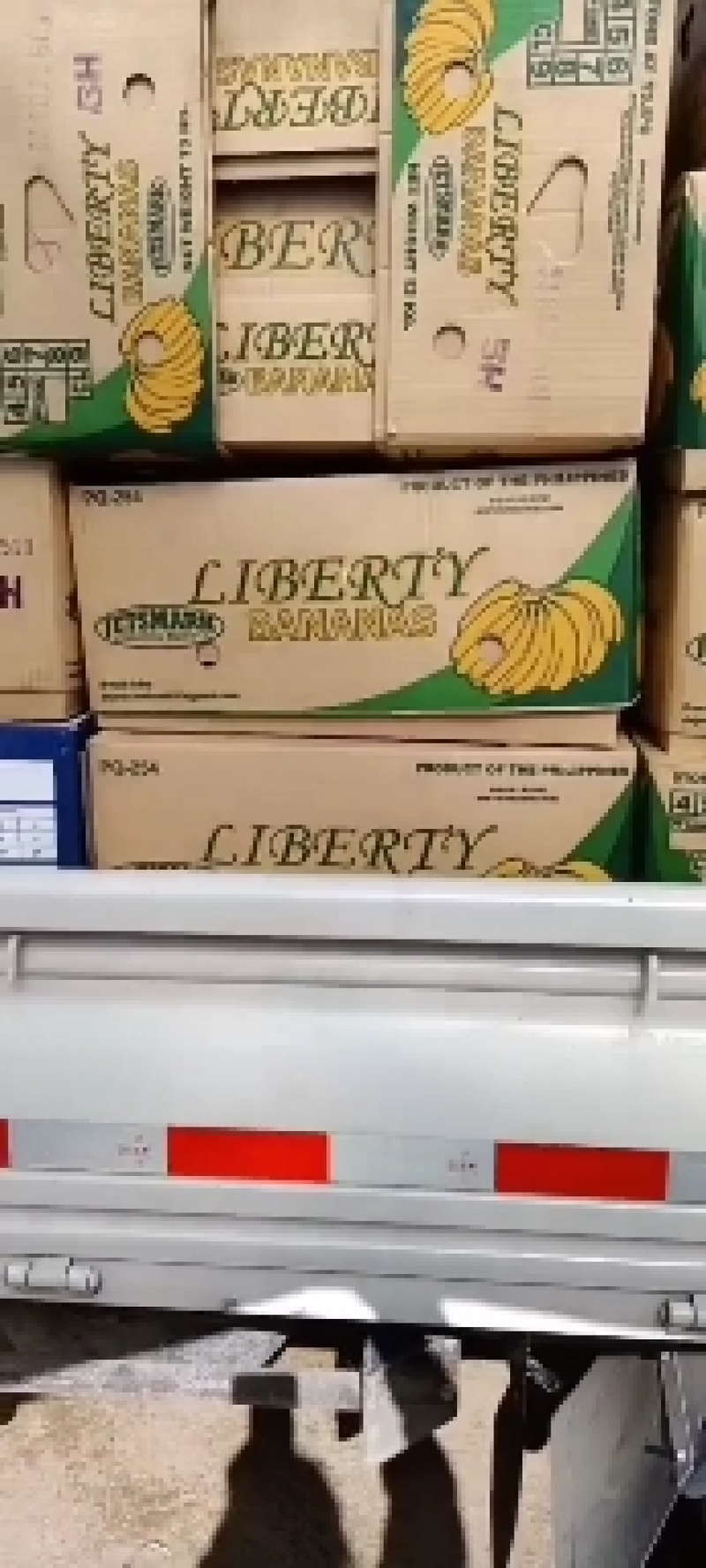 花盖梨精品花盖梨有需要的老板进快与我联系