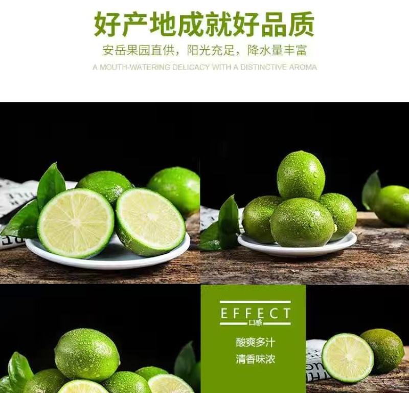 青柠檬一二级青柠檬奶茶店超市零售大中小果青柠檬