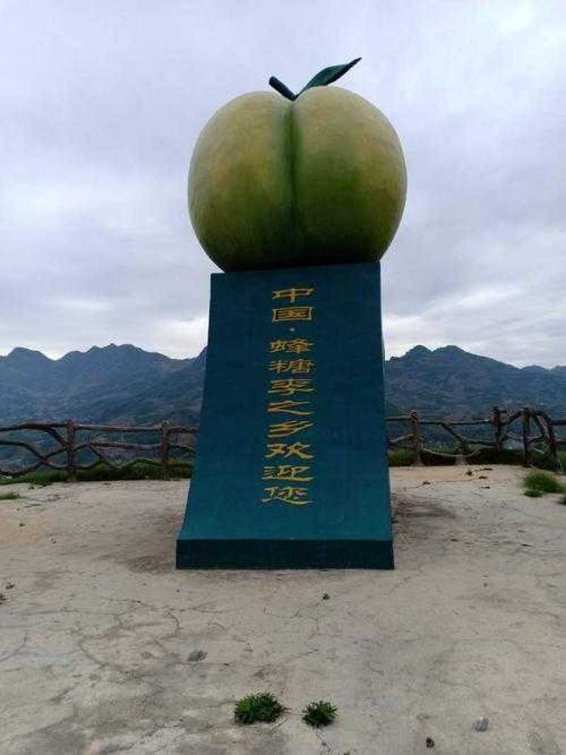 蜂糖李子苗南北方都可以种，假一赔十，基地直发，保湿发货，