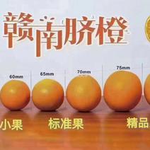 江西赣南脐橙大量现货供应，有量的联系，机会不是天天有