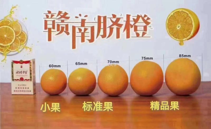 江西赣南脐橙大量现货供应，有量的联系，机会不是天天有