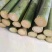 实心竹/大量供应实心玉竹，直径1公分到3公分欢迎下单