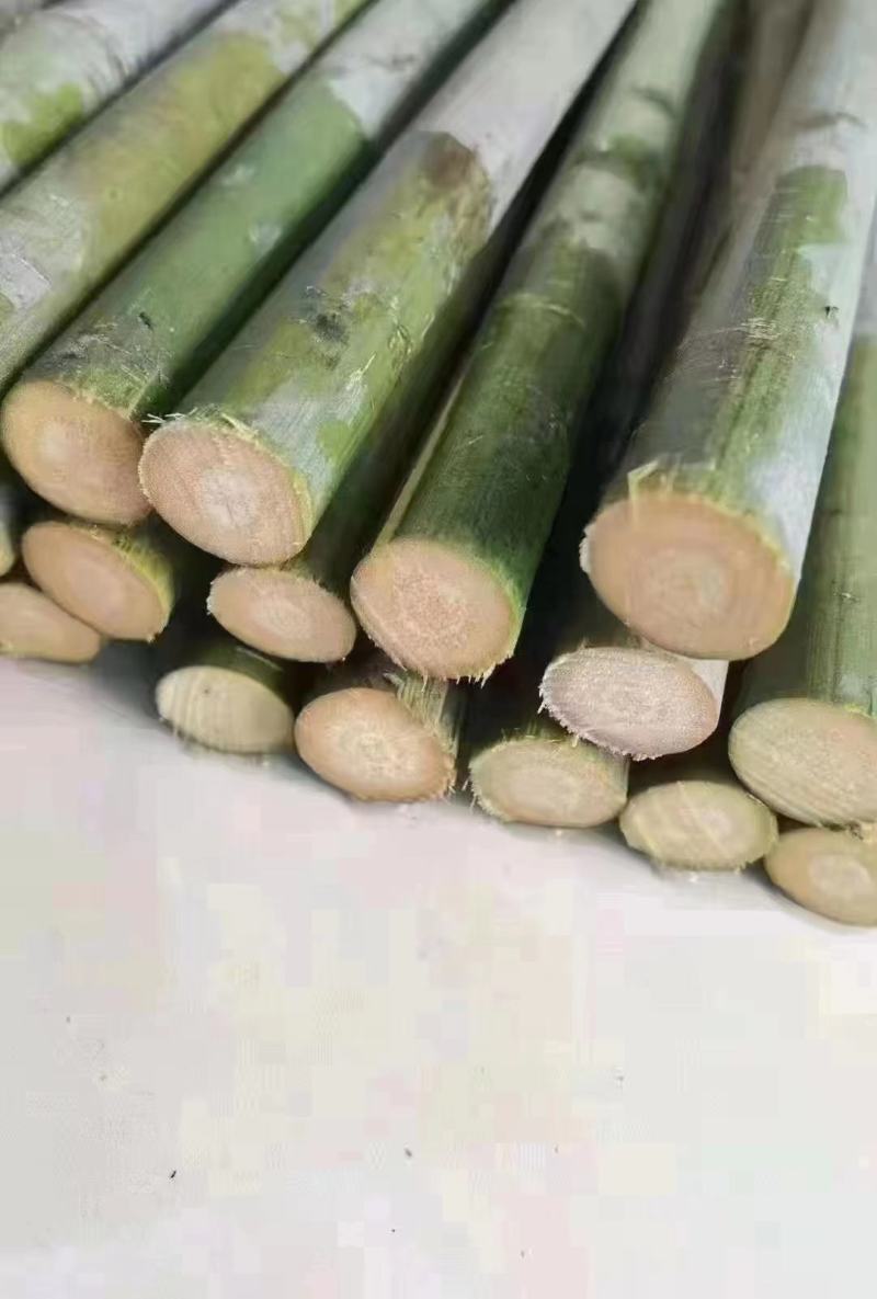 实心竹/大量供应实心玉竹，直径1公分到3公分欢迎下单