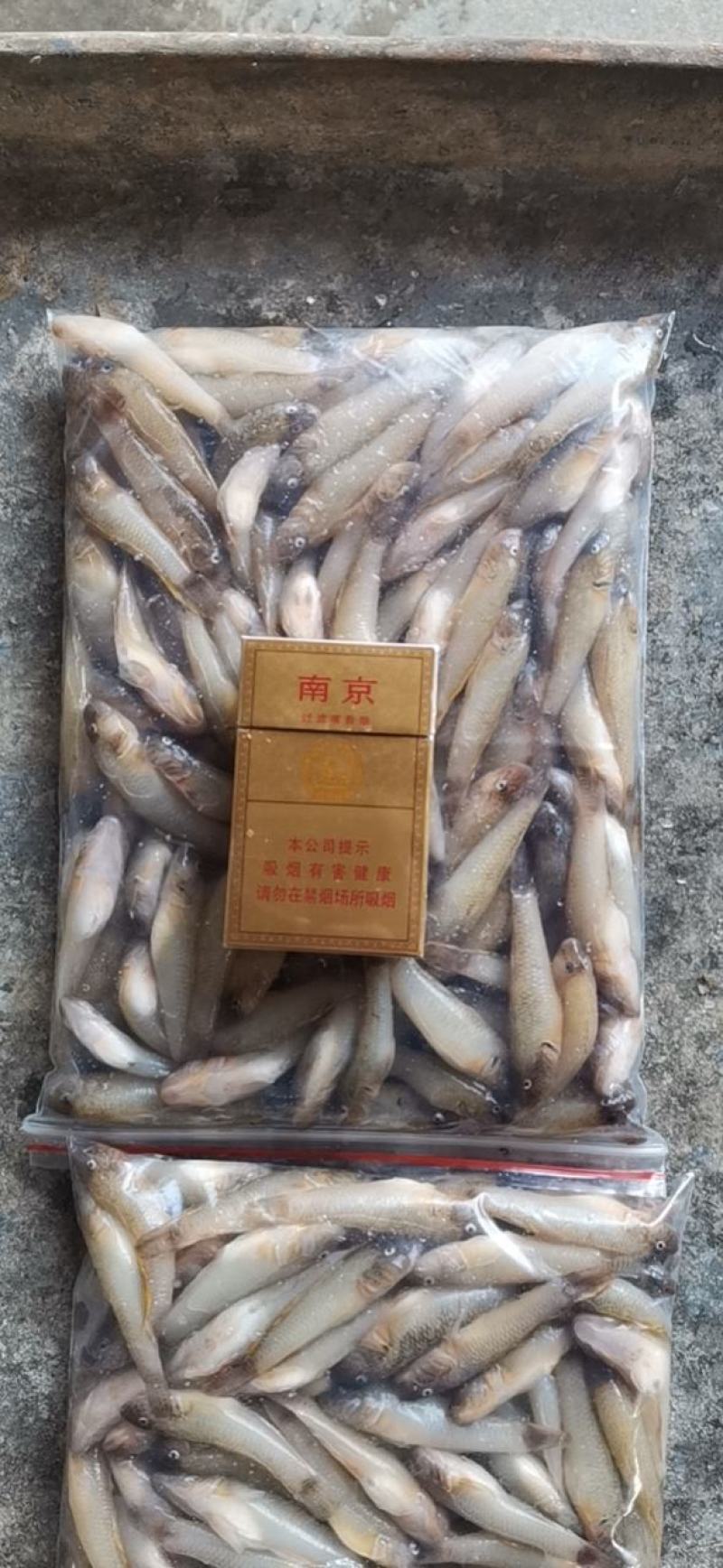 【推荐】山坑鱼5-7公分，产地发货，质量保证，欢迎