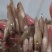 【推荐】山坑鱼5-7公分，产地发货，质量保证，欢迎