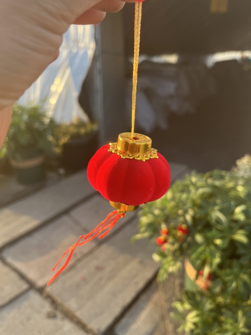 鸭脚木