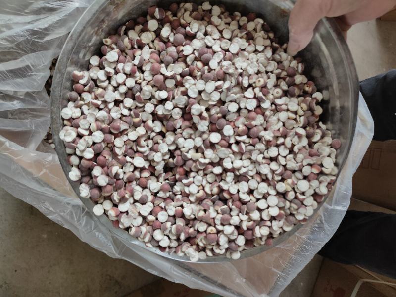 【肇庆发货】肇庆芡实鸡头米精选货各种规格均齐全10斤起发