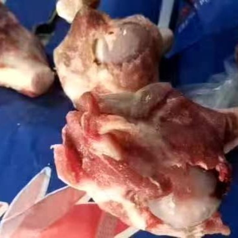 小棒骨适用于酱骨头自助餐快餐专用。好食材才有好味道