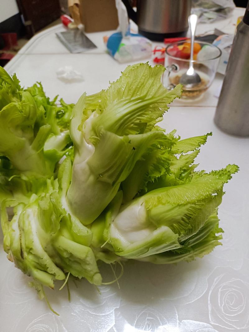 本地精品儿菜个大不空心不冒苔不红头