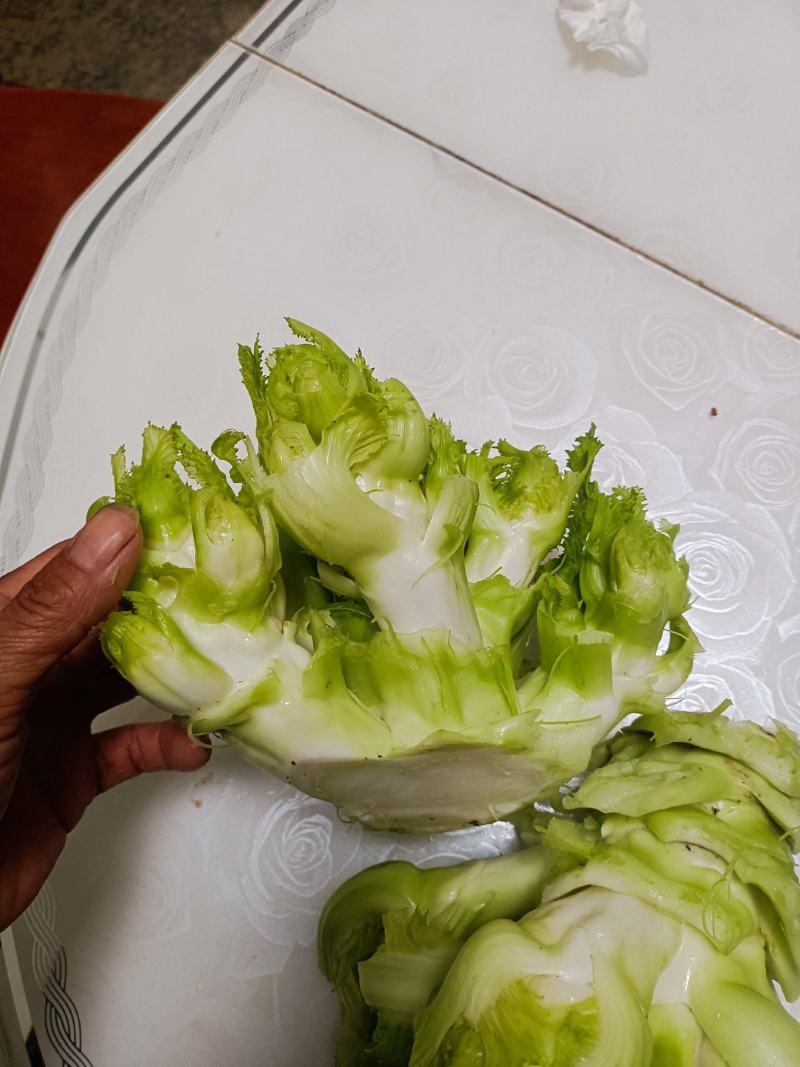 本地精品儿菜个大不空心不冒苔不红头