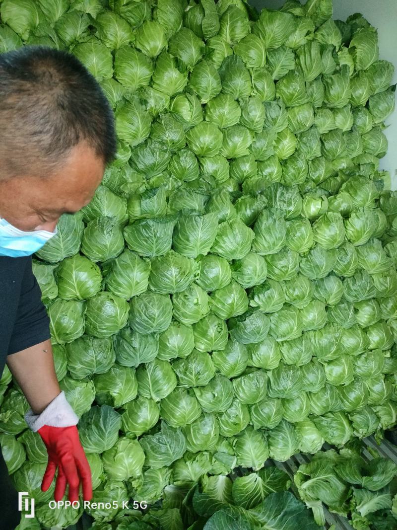 万亩橄榄已上市口感很好价格便宜个头不大不小，耐运输颜色