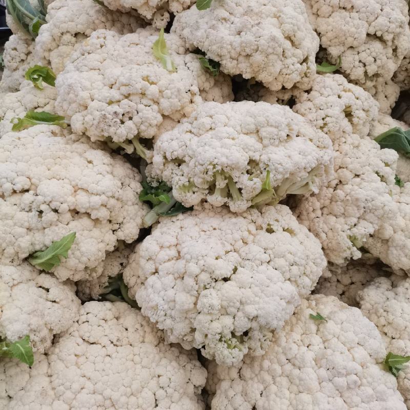 精品有机菜花，产地发货，超市，平台，市场档口，脱水厂
