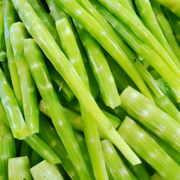 山东兰陵莴苣