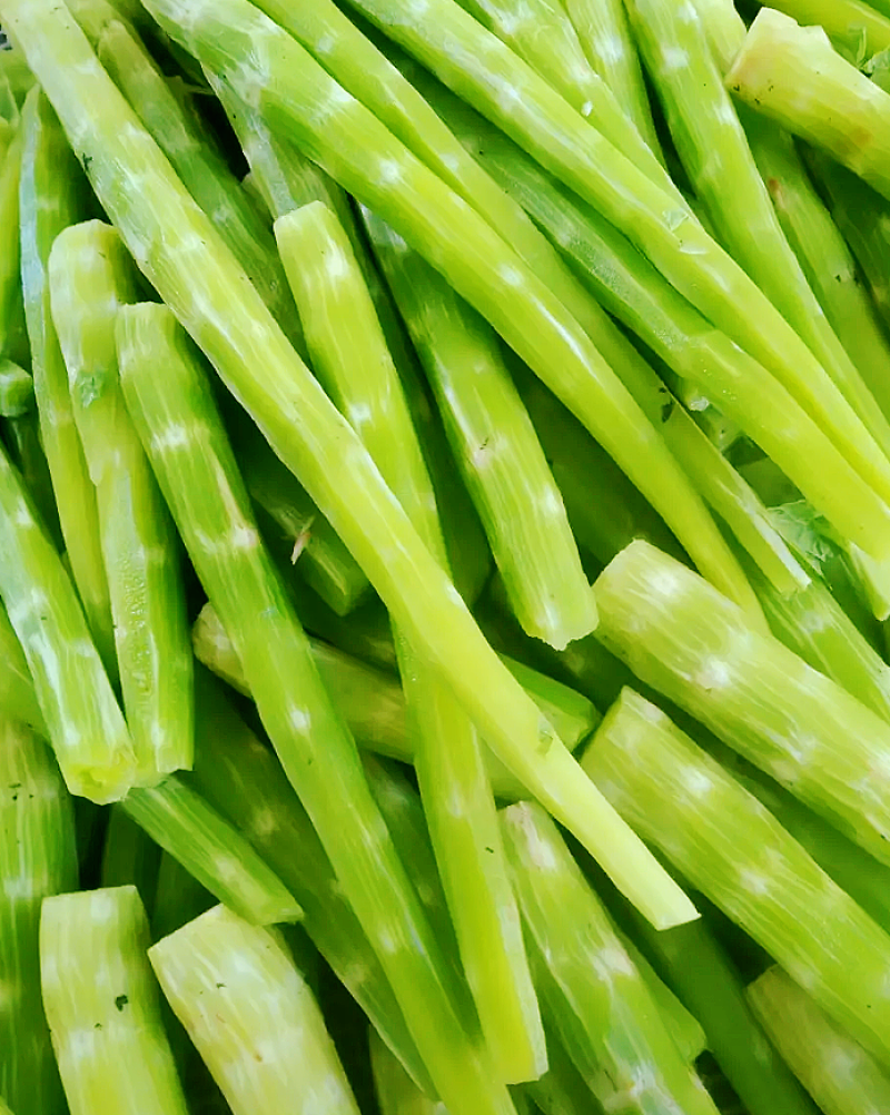 山东兰陵莴苣