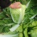 新三大白菜大量上市，净菜4一5斤，无虫眼