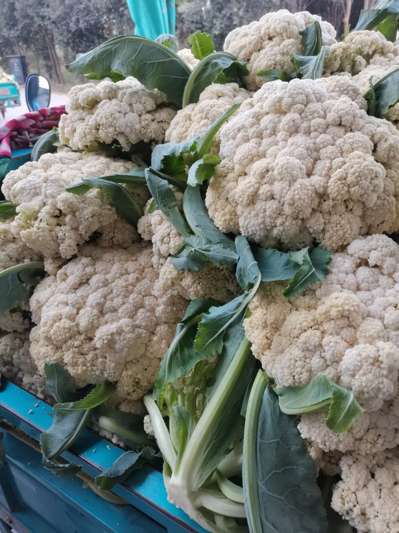 精品有机菜花，产地发货，超市，平台，市场档口，脱水厂