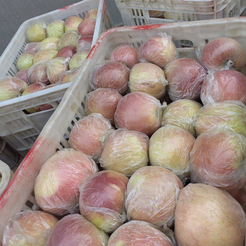 红富士苹果红富士苹果批发《对接电商入库》货源充足
