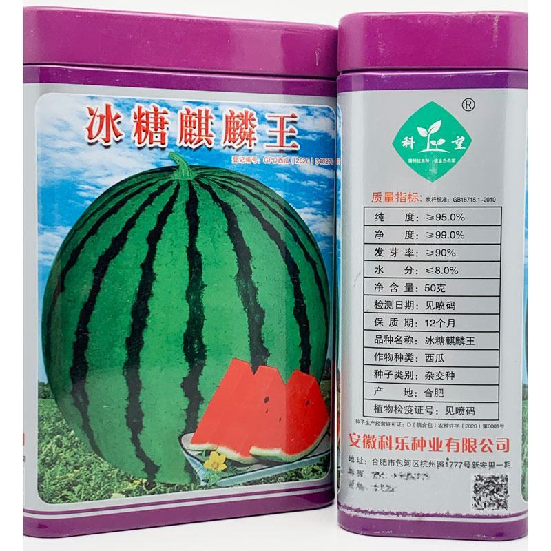 冰糖麒麟王西瓜种子早熟甜大红瓤麒麟美都西瓜种子50克原装