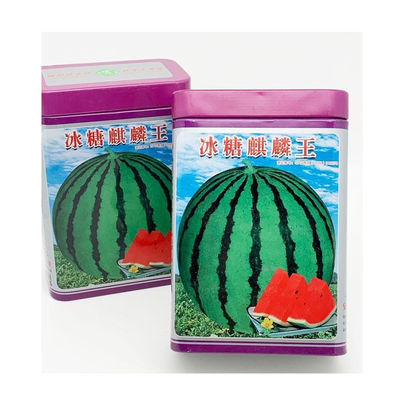 冰糖麒麟王西瓜种子早熟甜大红瓤麒麟美都西瓜种子50克原装