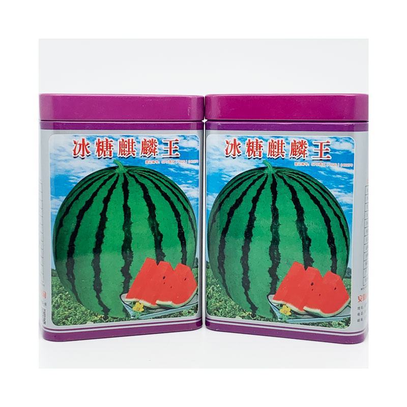 冰糖麒麟王西瓜种子早熟甜大红瓤麒麟美都西瓜种子50克原装