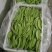 荷兰豆团队多