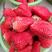 昌平兴寿红颜草莓自家果园一手货源