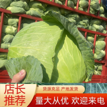 【荐】湖北京丰精品扁包刚开园颜色清秀可供超市加工厂