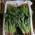 云南菠菜，货大从优，