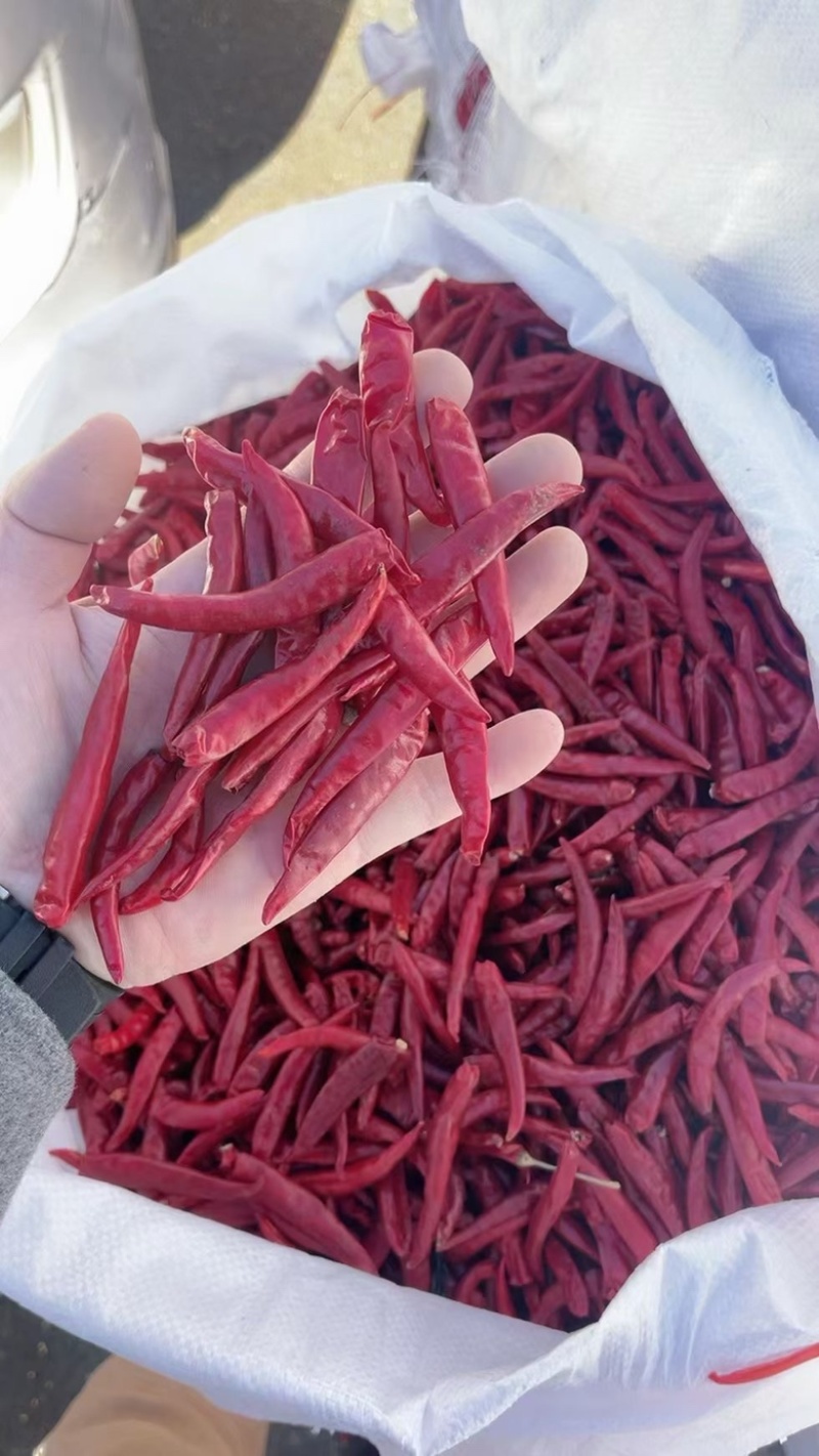 朝天椒红皮辣椒货源充足产地直发欢迎联系