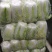 东台大白菜，黄心白菜，产地直发，一手货源，品质保证，欢迎