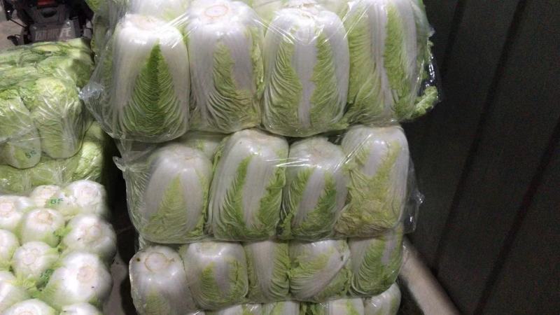 东台大白菜，黄心白菜，产地直发，一手货源，品质保证，欢迎