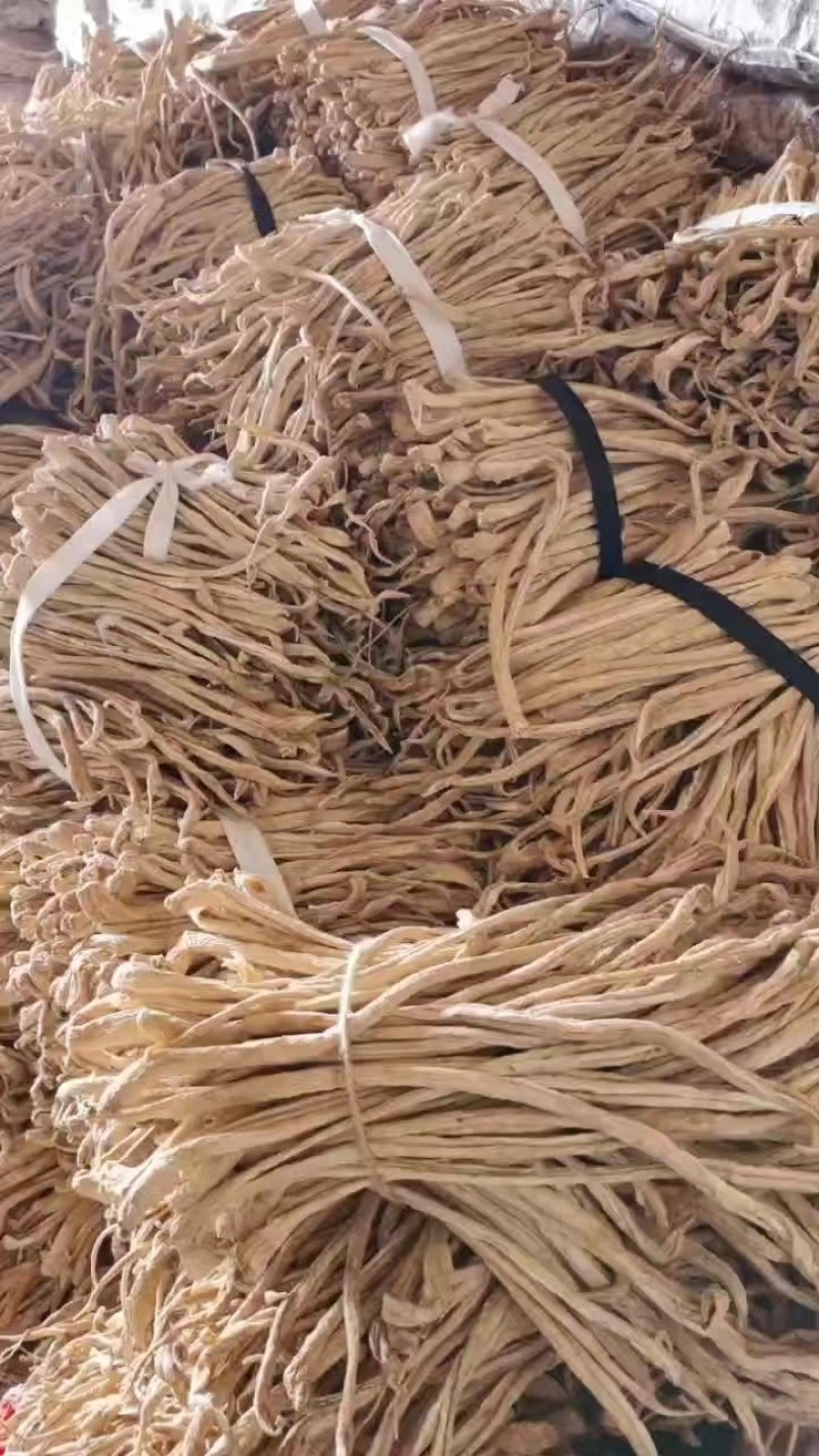 白萝卜条上吉林长岭产区万亩基地大量有货支持全国发货