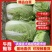东台大白菜，黄心白菜，产地直发，一手货源，品质保证，欢迎