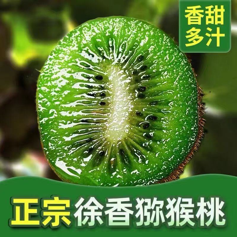 徐香猕猴桃【一件代发】产地直供/电商/微商/直播平台