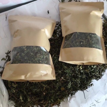鬼针草、鬼钗草、虾钳草、蟹钳草、对叉草、粘人草、粘连子