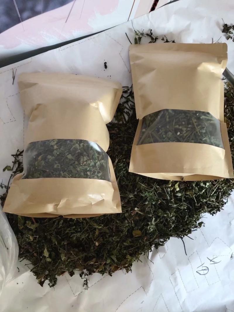 鬼针草、鬼钗草、虾钳草、蟹钳草、对叉草、粘人草、粘连子